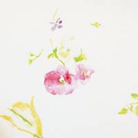 nani IRO New morning Ⅰ A nani IRO New morning Ⅰ A