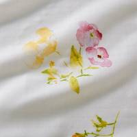 nani IRO New morning Ⅰ A nani IRO New morning Ⅰ A