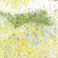 nani IRO Birds Eye A nani IRO Birds Eye A