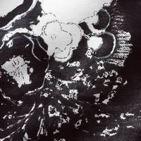 nani IRO KOMOREBI D organic double gauze nani IRO KOMOREBI D organic double gauze