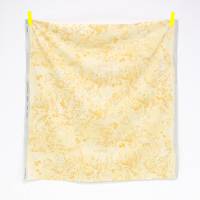 nani IRO Lei nani nobana nani IRO Lei nani nobana