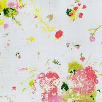 nani IRO ENCOUNTER B nani IRO ENCOUNTER B