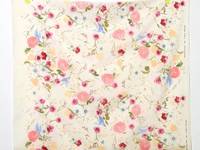 nani IRO rakuen B nani IRO rakuen B