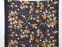 nani IRO rakuen E nani IRO rakuen E