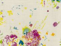 nani IRO ENCOUNTER A nani IRO ENCOUNTER A