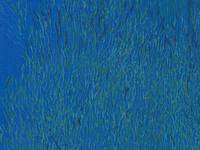 nani IRO wild blue ocean nani IRO wild blue ocean