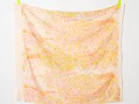 nani IRO BIRDS EYE ranman nani IRO BIRDS EYE ranman