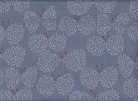 Butterfly graublau Butterfly graublau