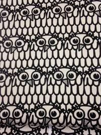 Eulen natur Eulen natur