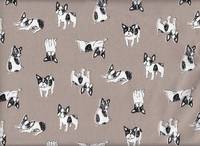 Hunde beige Hunde beige