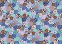 Kiku blau Kiku blau