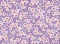 Sakura flieder Sakura flieder