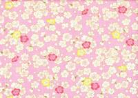 Kirschblüten rosa gold Kirschblüten rosa gold