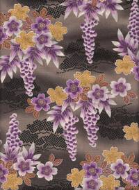 Wisteria grau Wisteria grau