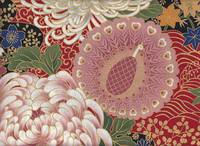 Kiku & Pfau rot Kiku & Pfau rot