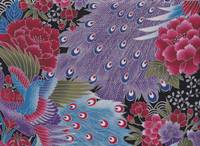 Pfau blau silber Pfau blau silber