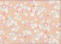 Ume apricot Ume apricot