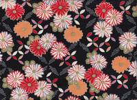 Hana schwarz Hana schwarz