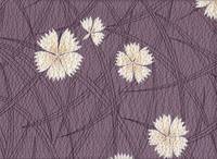 Sakura lavender Sakura lavender