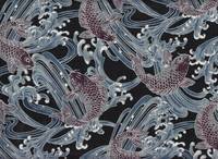 Koi schwarz Koi schwarz