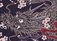 Drache & Sakura violett Drache & Sakura violett