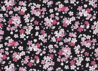 Sakura schwarz Sakura schwarz