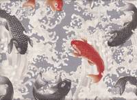 Koi hellgrau Koi hellgrau