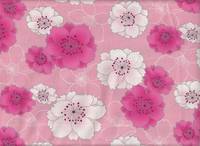 Chrysanthemen groß rosa Chrysanthemen groß rosa