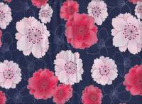 Chrysanthemen groß blau Chrysanthemen groß blau