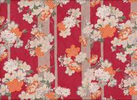 Sakura asanoha rot Sakura asanoha rot