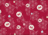 Goldfisch rot Goldfisch rot