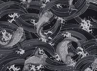 Koi schwarz Koi schwarz