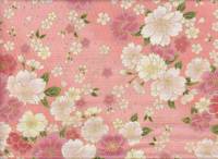 Sakura groß rosa Sakura groß rosa