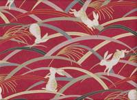 Kusa Usagi rot Kusa Usagi rot