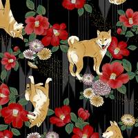 Shiba Inu schwarz Shiba Inu schwarz