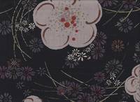 Hana schwarz Hana schwarz