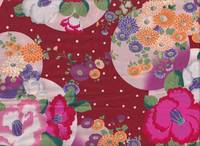 Hana Tsubaki rot Hana Tsubaki rot