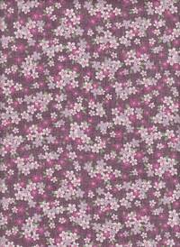 Sakura lila Sakura lila