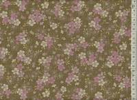 Sakura klein olive Sakura klein olive