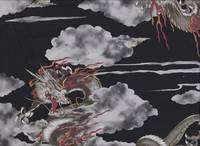 Drachen schwarz Drachen schwarz