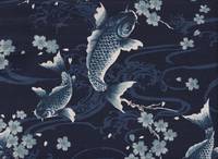 Koi & Sakura navy Koi & Sakura navy