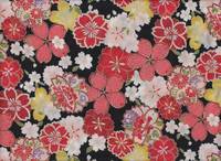 Sakura schwarz Sakura schwarz