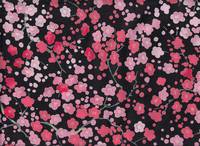 Ume schwarz Ume schwarz