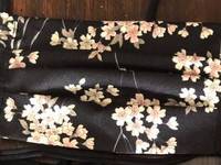 Gesichtsmaske Sakura Schwarz Gesichtsmaske Sakura Schwarz