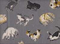 Wachstuch Katzen grau Wachstuch Katzen grau