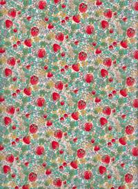 Wachstuch Erdbeerfeld Wachstuch Erdbeerfeld