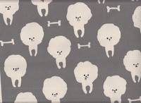 Wachstuch Bichon Frisé Wachstuch Bichon Frisé