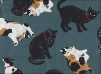 Wachstuch Katzen türkis Wachstuch Katzen türkis