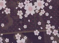 Wachstuch Sakura lila Wachstuch Sakura lila