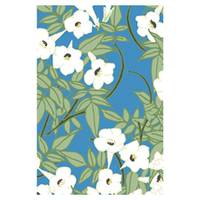 Emily Burningham memo delphinium Emily Burningham memo delphinium